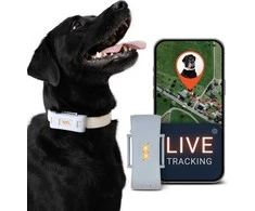 PAJ GPS šunų GPS seklys, 4G, vandeniui atsparus IP67, LED funkcija, PET Finder 4G - Pilkas