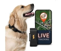 PAJ GPS šunų sekimo įrenginys su GPS, 4G, IP67 atsparus vandeniui, LED diodas, baterija iki 10 dienų, PET Finder 4G