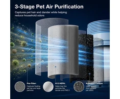 PETGUGU oro valytuvas augintiniams su H13 HEPA filtru, CADR 320 m³/h, PA1