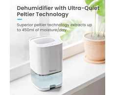 Pro Breeze oro sausintuvas 1 l, 600 ml/d., 36 W su laikmačiu PB-F17W