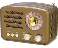 PRUNUS nešiojamas retro radijas su Bluetooth, FM/AM/SW, 1800 mAh akumuliatoriumi, J-160