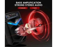 Pyle Bluetooth Garsiakalbis su mikrofonu