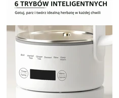 Rauwseul elektrinis stiklinis virdulys 0,6 l, 500 W su temperatūros reguliavimu LG-A600