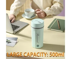 Rauwseul kelioninis elektrinis virdulys 500 ml, 300 W, 220 V, žalias