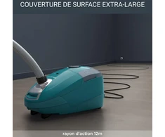 Rowenta dulkių siurblys su maišeliu Power XXL, 900 W, 4,5 l, 12 m, RO3143