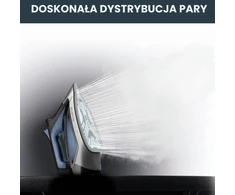 Rowenta garinis lygintuvas Everlast Anticalc 2700 W su 400 garų angų DW7320D1