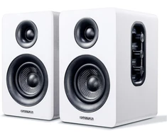 Sanyun lentyninės aktyviosios garso kolonėlės Bluetooth 5.0, 60 W, 24 bitų DAC SW-208