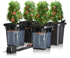 Spider Farmer DWC hidroponinės sistemos rinkinys su 27 l talpos vandens indu, 12 W oro pompa, 4 kibirai