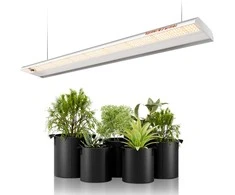 Spider Farmer LED lempa augalams SF600, 75 W, pilnas šviesos spektras, 384 diodai