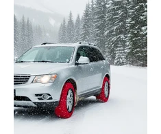 SQUADO sniego kojinės automobilių padangoms, L dydis, nailoninės, modelis 1