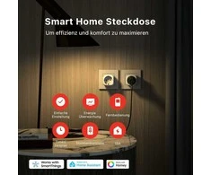 Schneider Electric THIRDREALITY „Zigbee“ išmanusis kištukas