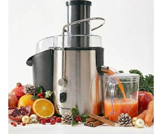 Twinzee sulčiaspaudė 850 W, 2 greičių, 1 l talpa, nerūdijančio plieno korpusas