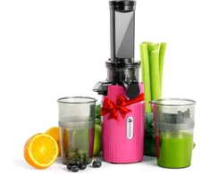 Ventray lėtaeigė sulčiaspaudė, 100 W, 60 aps./min, 400 ml talpa, Ginnie modelis