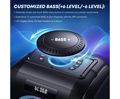 W-KING Bluetooth nešiojama garso kolonėlė 270 W, 6,5 colio žemųjų dažnių garsiakalbis, IPX5, T9 Pro