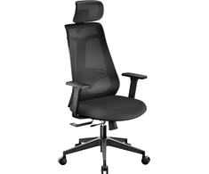 Wiltec ergonominė biuro kėdė su reguliuojamu galvos atlošu ir juosmens atrama 64986