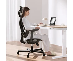Wiltec ergonominė biuro kėdė su reguliuojamu galvos atlošu ir porankiais, 150 kg, 64984