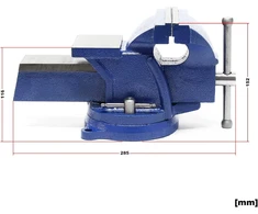 Wiltec šaltkalvio spaustuvas su priekalu ir pasukamu pagrindu, 100 mm, 61861