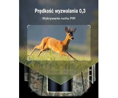 WOLFANG laukinė kamera 4K 48 MP IP66, judesio jutiklis, naktinis matymas, WT01