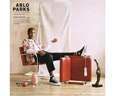 Arlo Parks - Collapsed In Sunbeams (vinilinė plokštelė, LP)