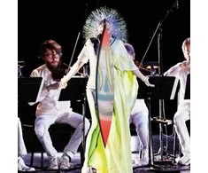 Björk - Vulnicura Strings 2LP (vinilinė plokštelė)