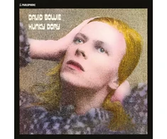 David Bowie - Hunky Dory (vinilinė plokštelė, LP)