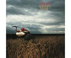 Depeche Mode - A Broken Frame (vinilinė plokštelė, LP)