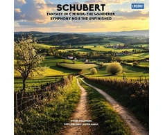 Franz Schubert - Fantasy In C Major / Symphony No. 8 In B Minor, D. 759 1LP (vinilinė plokštelė)