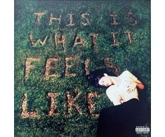 Gracie Abrams - This Is What It Feels Like (vinilinė plokštelė, LP)