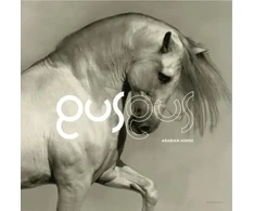 GusGus - Arabian Horse (vinilinė plokštelė, LP)