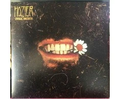 Hozier - Unreal Unearth / Greatest Hits (vinilinė plokštelė, LP)