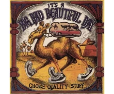 It's A Beautiful Day – Choice Quality Stuff / Anytime (vinilinė plokštelė, LP)