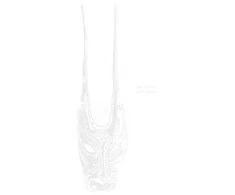 Lambert - Lost Tapes (vinilinė plokštelė, LP)
