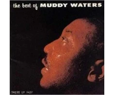Muddy Waters - The Best of Muddy Waters (vinilinė plokštelė, LP)