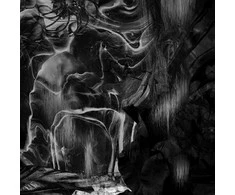 Oranssi Pazuzu - Muuntautuja (vinilinė plokštelė, LP)