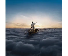Pink Rožinė Floyd - The Endless River (vinilinė plokštelė, LP)