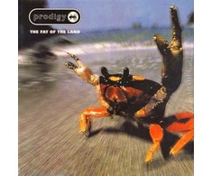 Prodigy - The Fat Of The Land 2LP (vinilinė plokštelė)