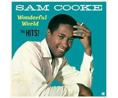 Sam Cooke - Wonderful World (The Hits) (vinilinė plokštelė, LP)