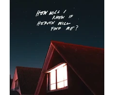 The Amazons - How Will I Know If Heaven Will Find Me? (vinilinė plokštelė, LP)