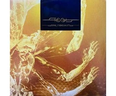 Tool - Fear Inoculum (vinilinė plokštelė, LP)