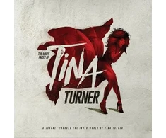 Various - The Many Faces Of Tina Turner (vinilinė plokštelė, LP)