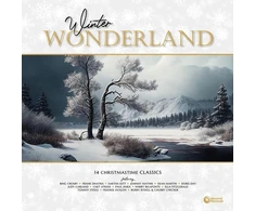 Various - Winter Wonderland (14 Christmastime Classics) (180 gram) 1LP (vinilinė plokštelė)