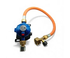30 mbar LPG dujų slėgio reguliatoriaus komplektas su 450 mm G5–W21,8 aukšto slėgio žarna, 10 mm