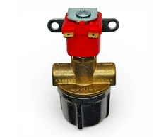 LPG elektromagnetinis dujų uždarymo vožtuvas 12 V su skystos fazės filtru, 6 mm (M10)