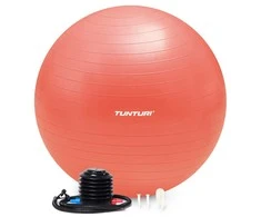 Gimnastikos kamuolys Tunturi Gymball 65–75 cm, Rose auksinis, Anti Burst (Diametras: 75 cm)