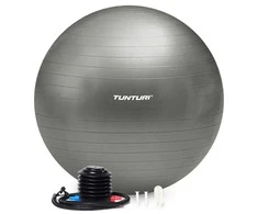Gimnastikos kamuolys Tunturi Gymball 75cm, Sidabrinis, Anti Burst