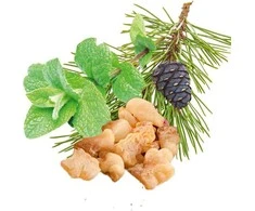 HARVIA saunos kvapų koncentratas, pipirmėčių, pušų, smilkalų ir miros 100ml
