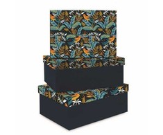 Lastva Dėžutės TROPICAL 3vnt mėlynos 295X220X110 260X190X105 230X160X100mm