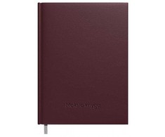 Timer Pedagogo knyga 2025/2026 m, 120x195mm, tamsiai rudos spalvos