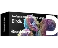 Levenhuk Skaidrės „Discovery Prof“ specimens DPS 5. „Paukščiai“
