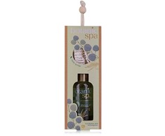 Body Accentra Winter Wonderland Shimmer Losjonas kūnui 140 ml kūno losjonas Moterims